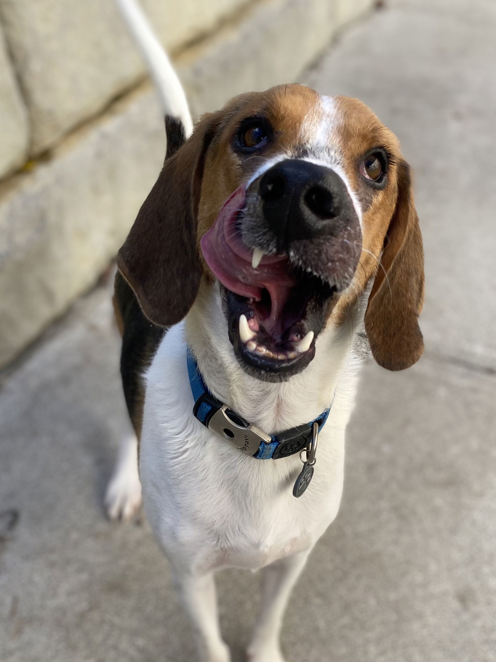 Duke