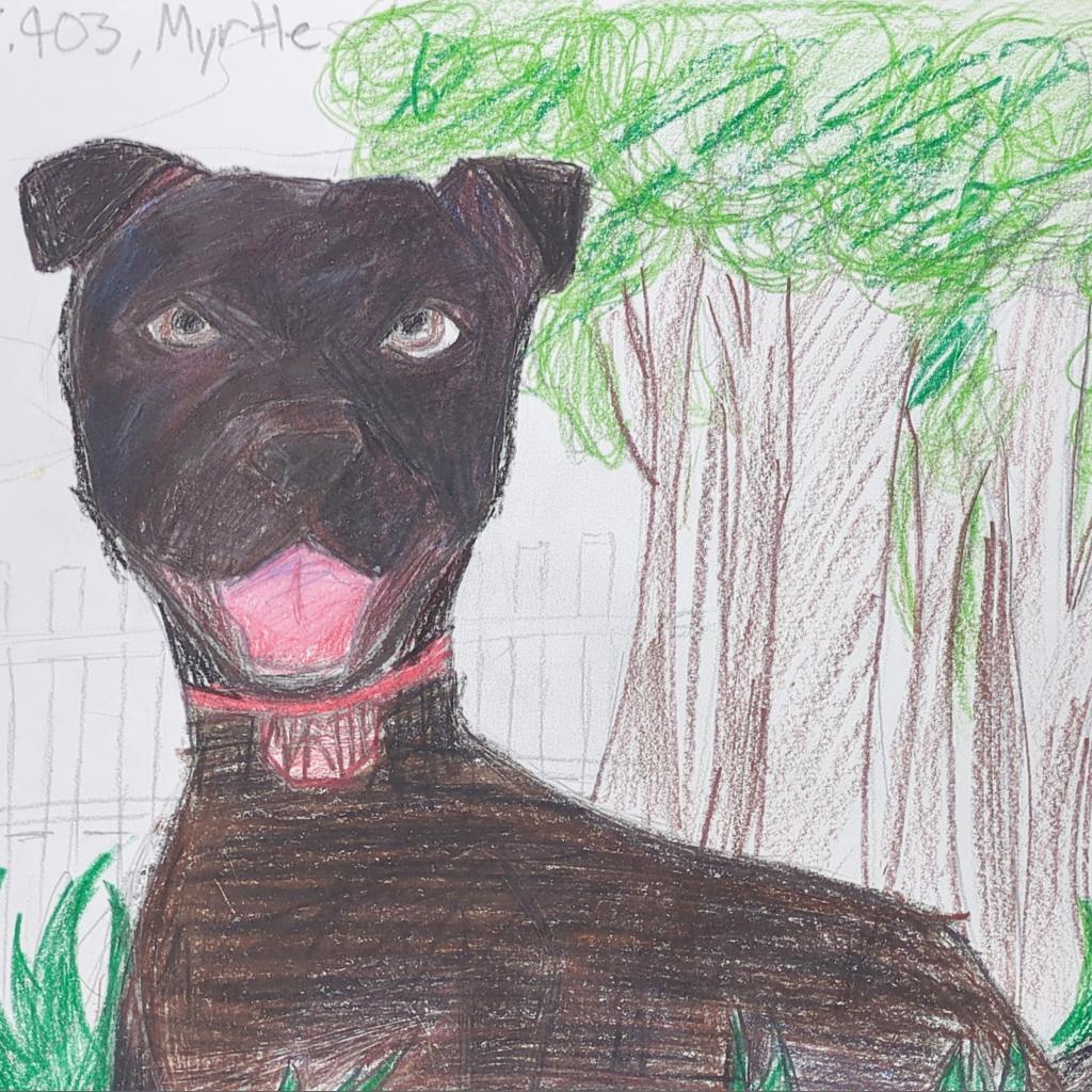 Myrtle, an adoptable Shar-Pei in Kanab, UT, 84741 | Photo Image 4