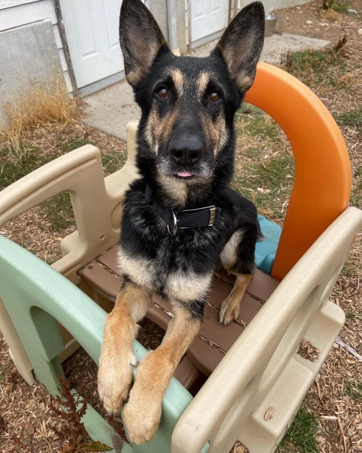 Zeus 5