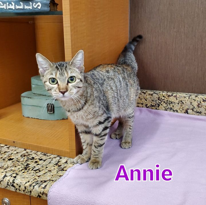 Annie 2
