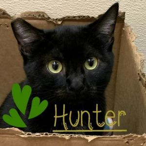 HUNTER