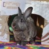 Bugs photo 2