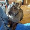 Bugs photo 6