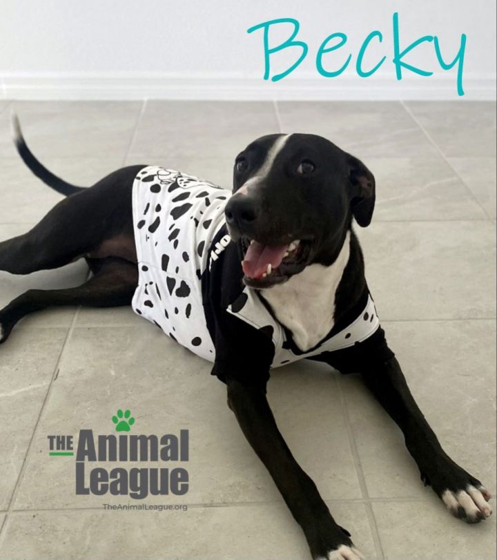 Becky 1