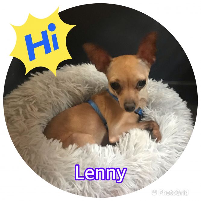 Lenny