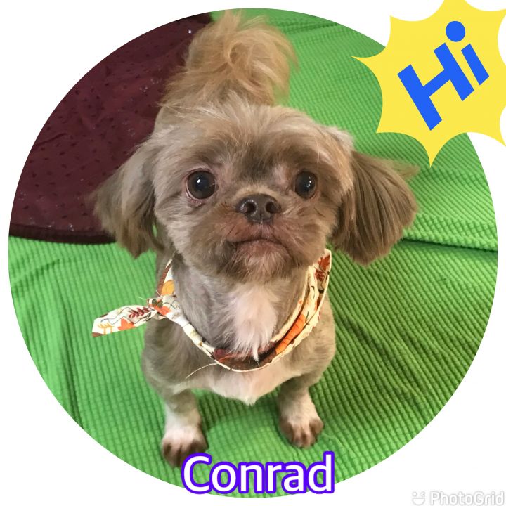 Conrad 1