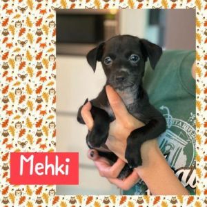Aguada6_Myka_Mehki-M