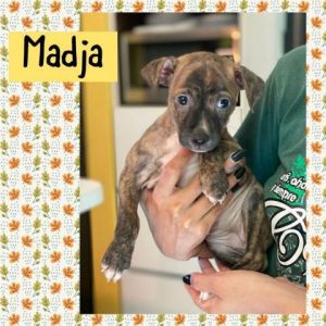 Aguada6_Myka_Madja-F