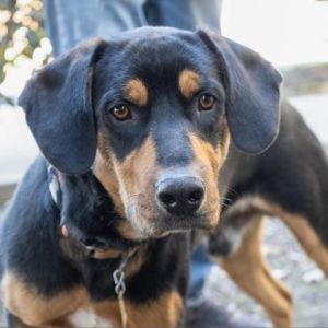 DUNCAN