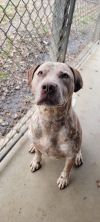 Zimba photo 3