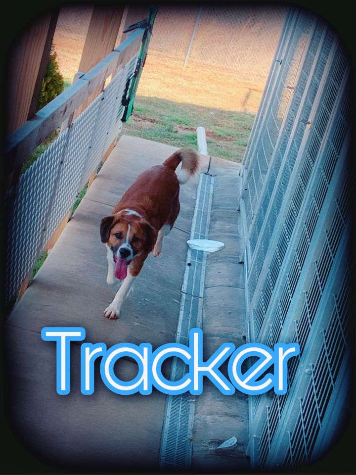 Tracker 5