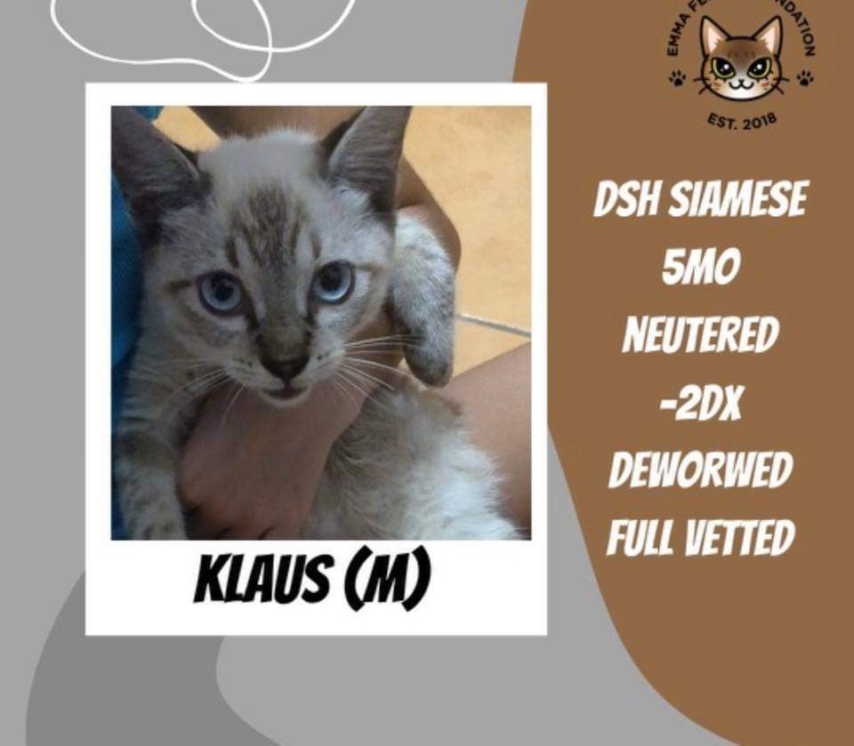 Klaus Von Kitty Pr Siam And Penny Dreadful Fl detail page