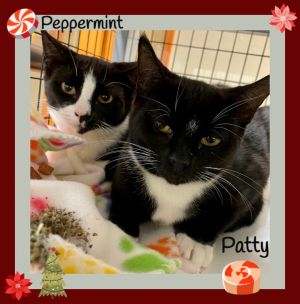 Peppermint and Patty 