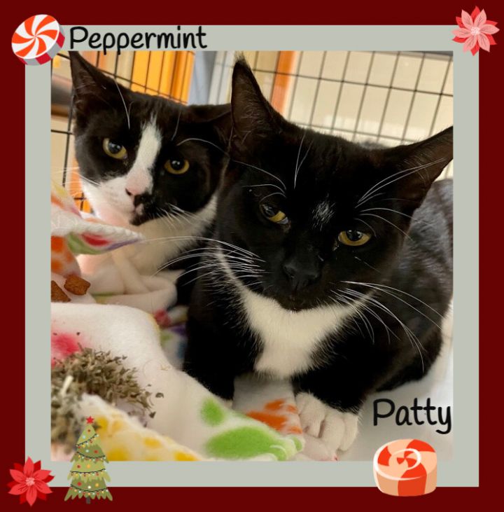 Peppermint and Patty  1
