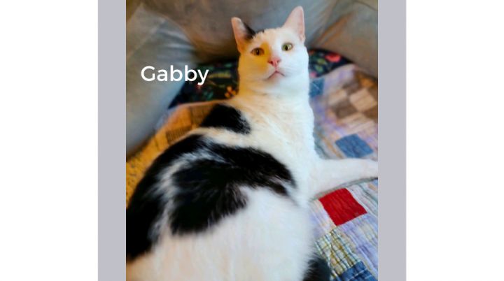 Gabby 2