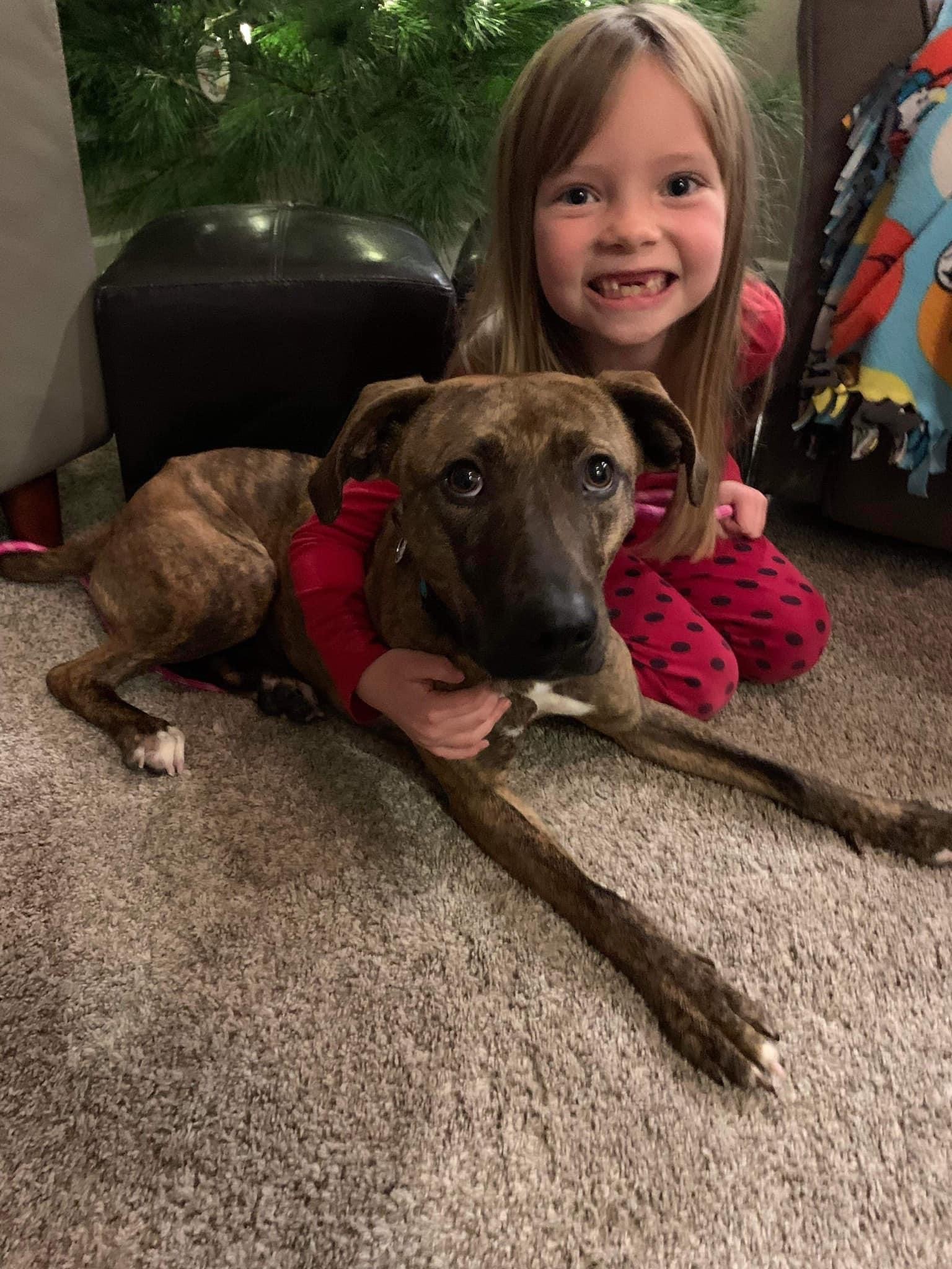 Coco (Mountain Cur Mix), an adoptable Mountain Cur in Watertown, WI, 53094 | Photo Image 3