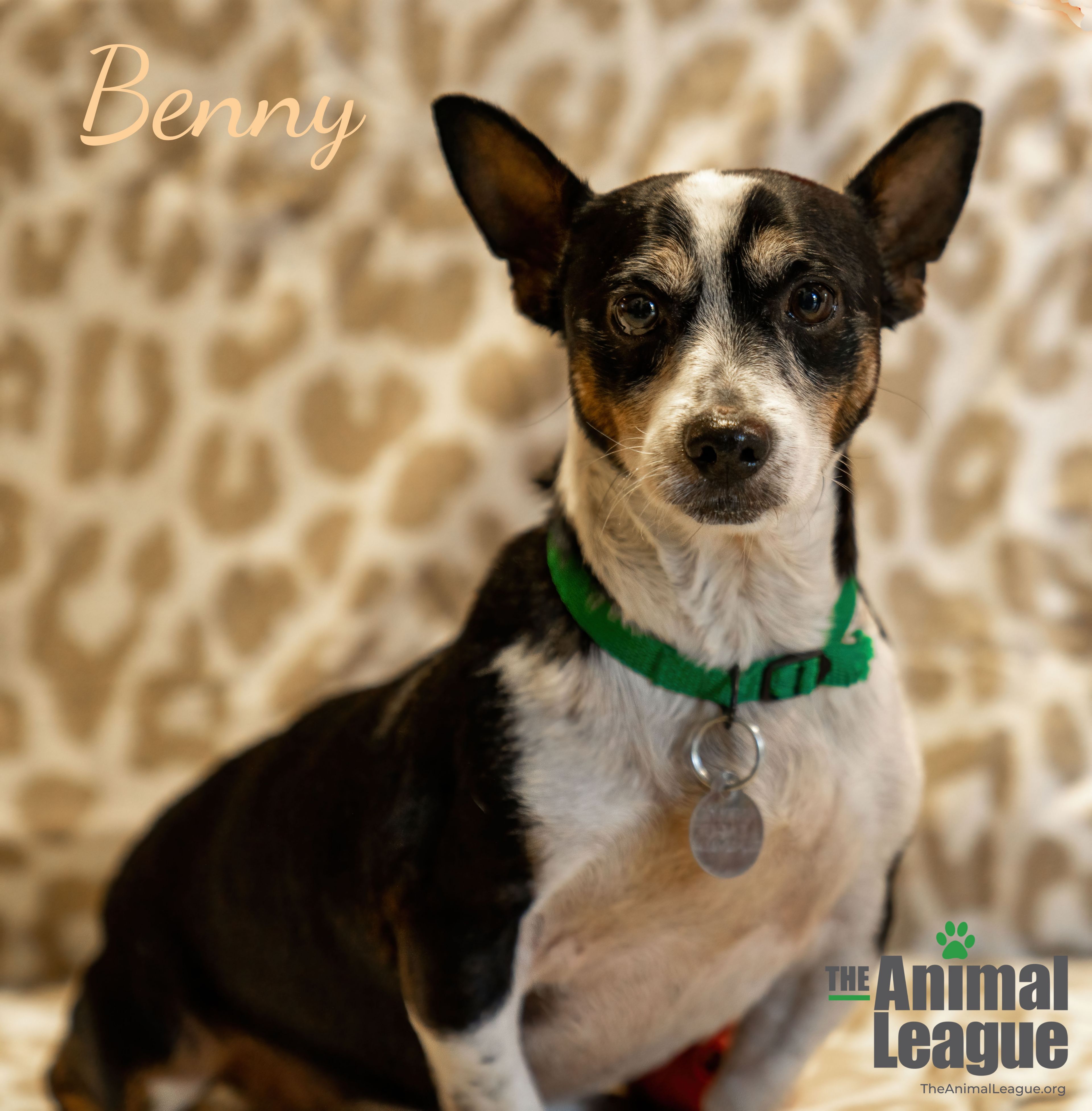 Benny detail page
