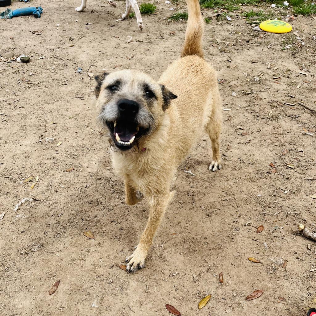 Coco