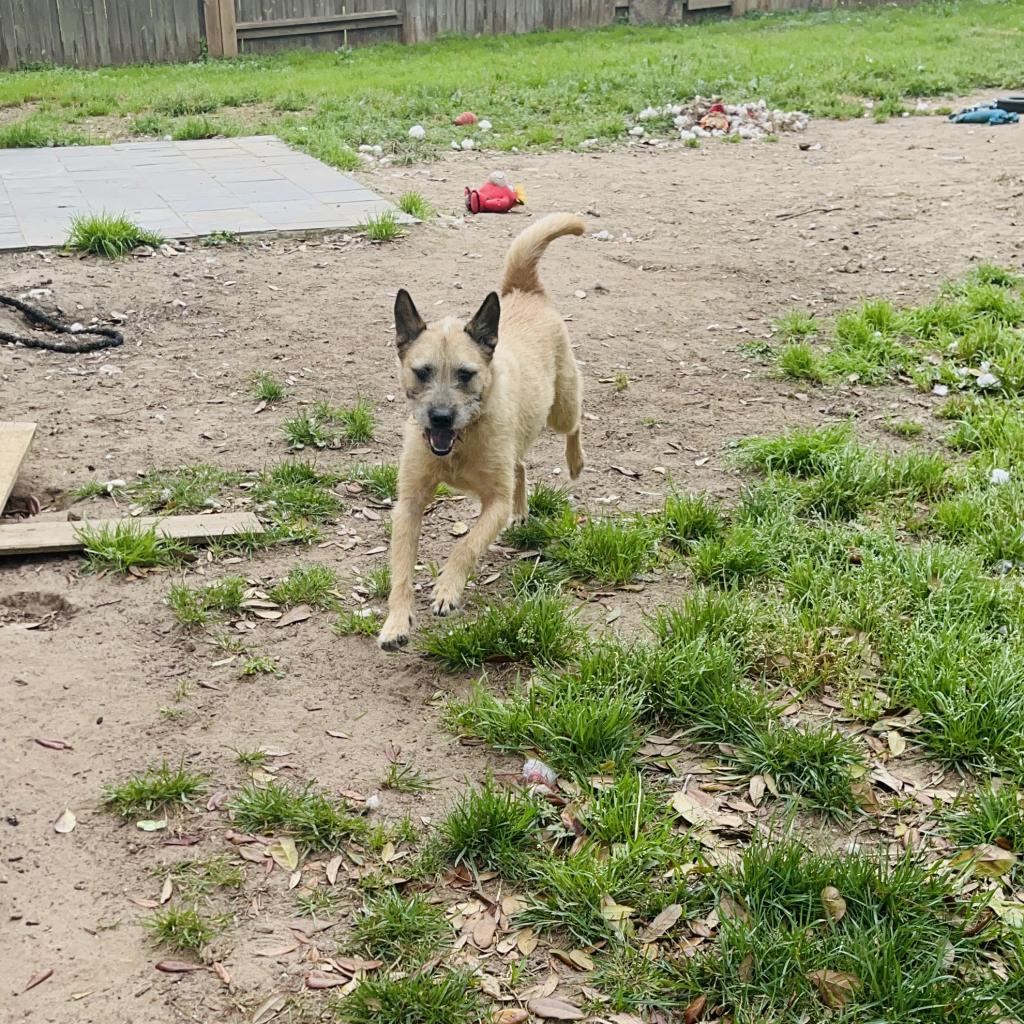Coco