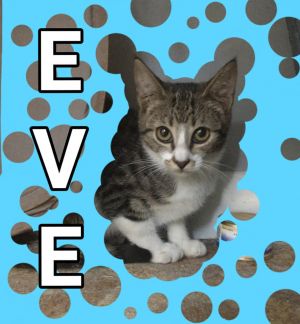 Eve, Adult Female unknown