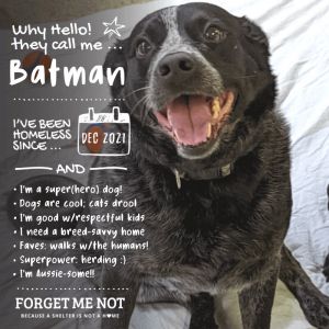 Batman - In Foster Care @ Training Facility