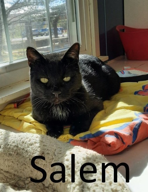 Salem