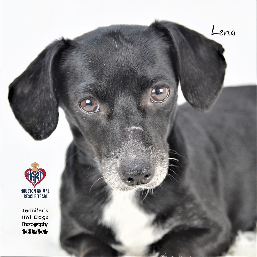 Lena