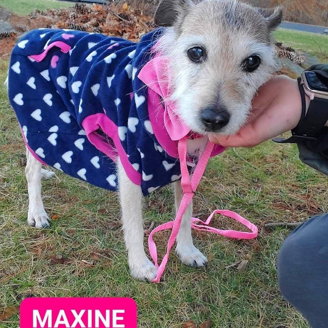 MAXINE