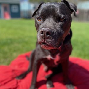 Rico Suave, Senior Male unknown