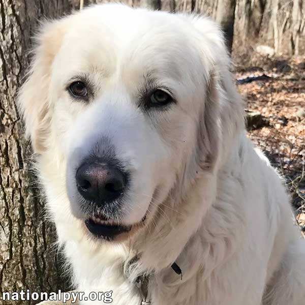 Queen B in CT - Silly & Playful Girl!