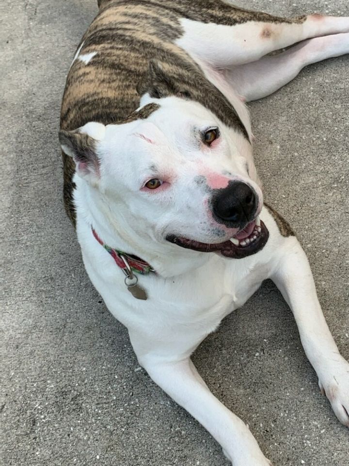 Sadie 3