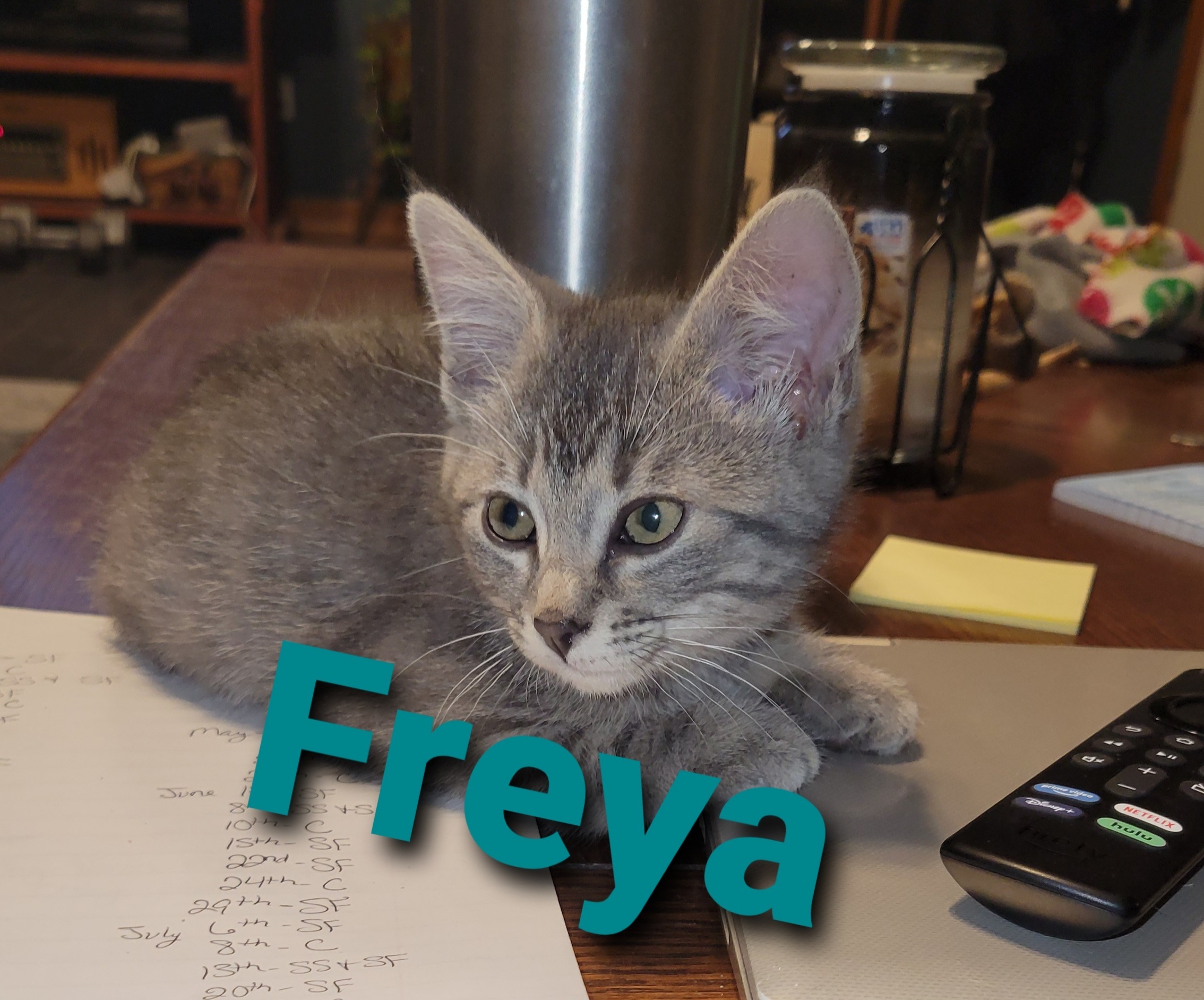 Freya detail page