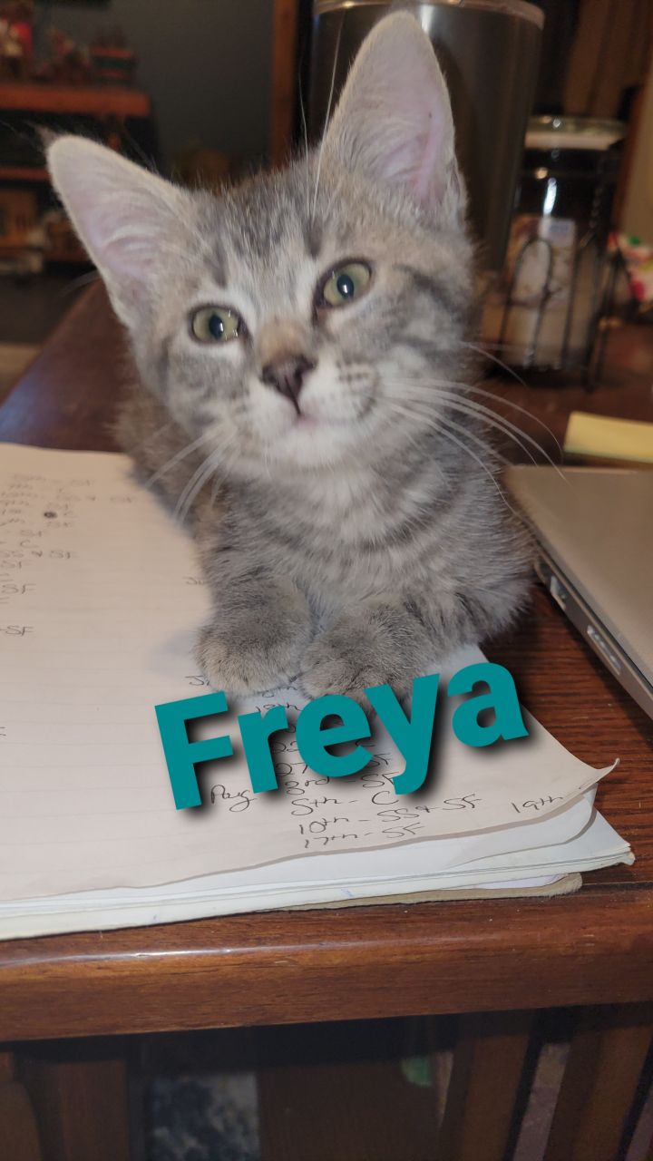 Freya  2
