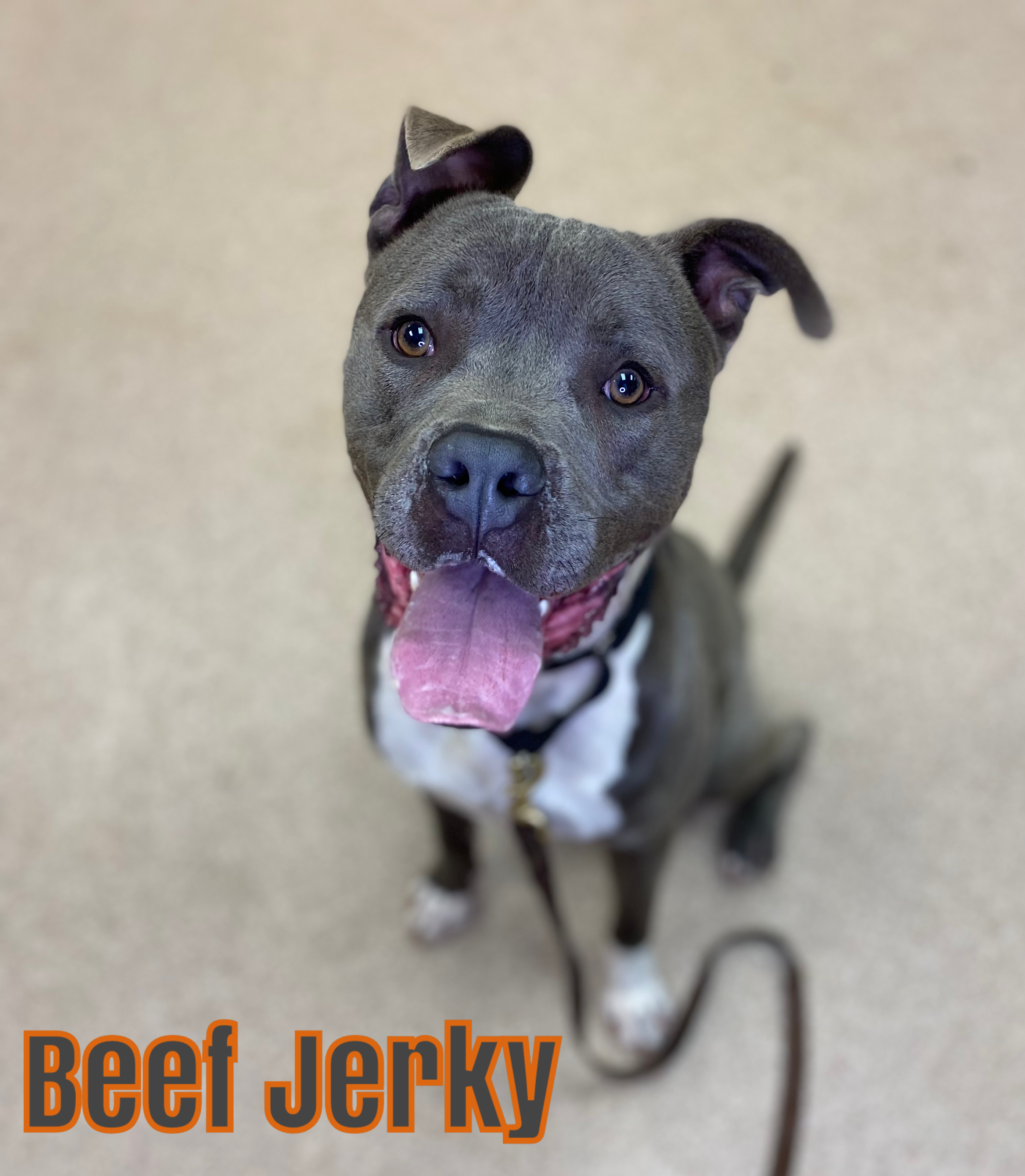 BEEF JERKY