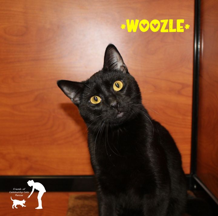 Woozle 1