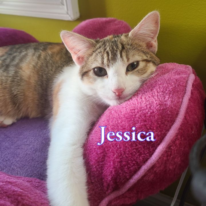 Jessica 1