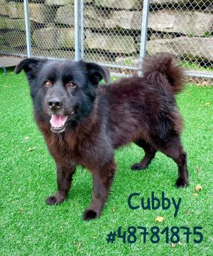 Cubby 