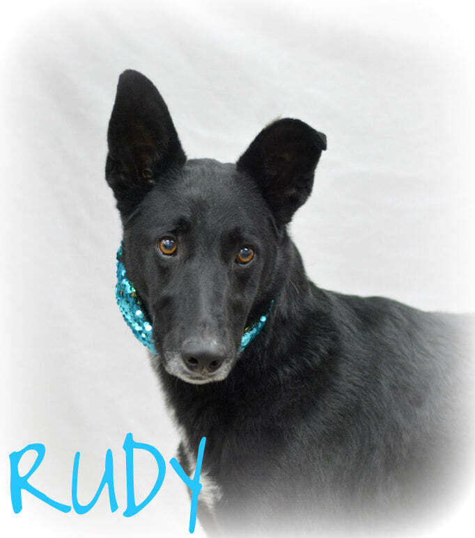 Rudy