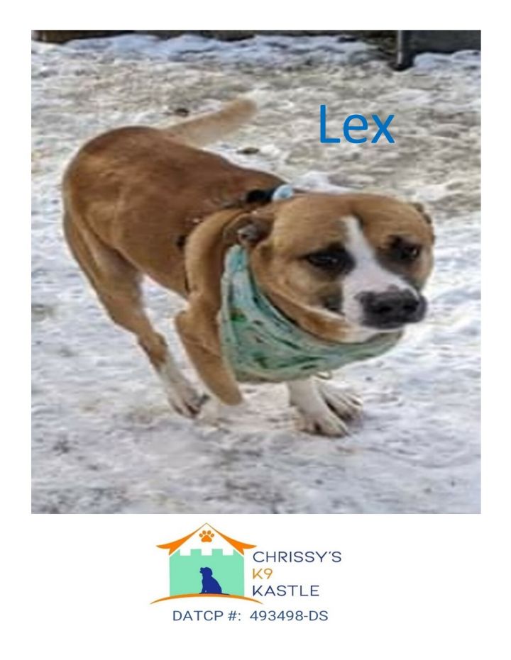 Lex-aka Rex 3