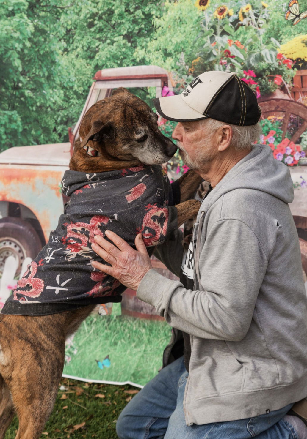 Hanna B, an adoptable Boxer in Mooresville, NC, 28117 | Photo Image 3