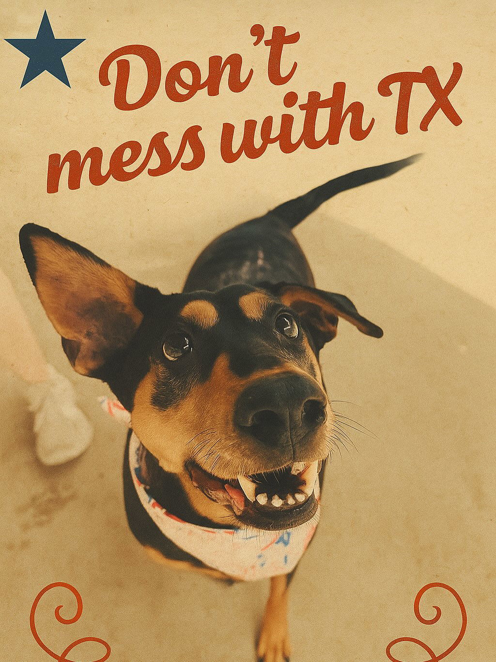 Madeline, an adoptable Doberman Pinscher, Pointer in Houston, TX, 77019 | Photo Image 1