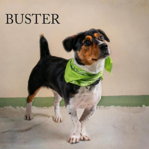 Buster 01-1133