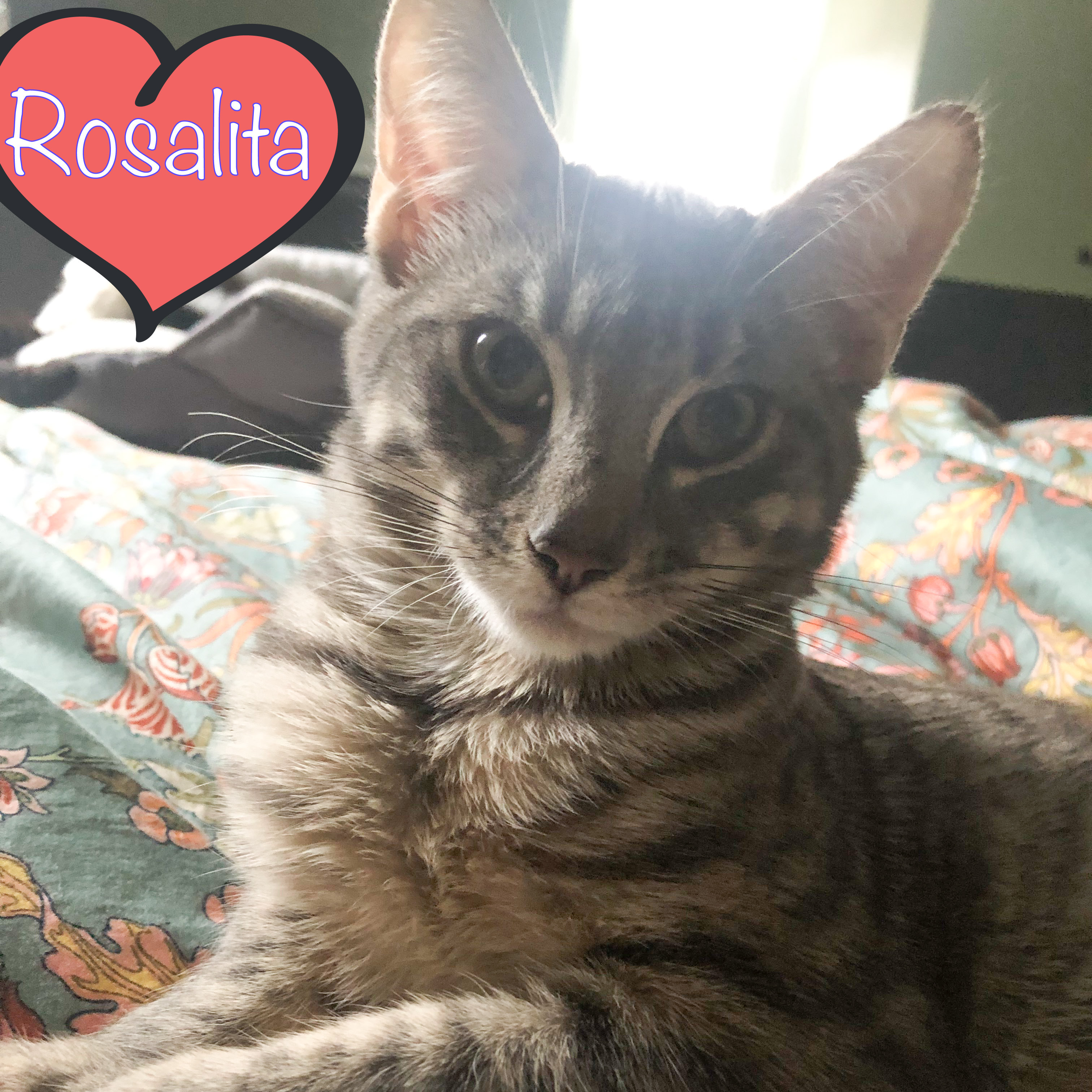 Rosalita detail page