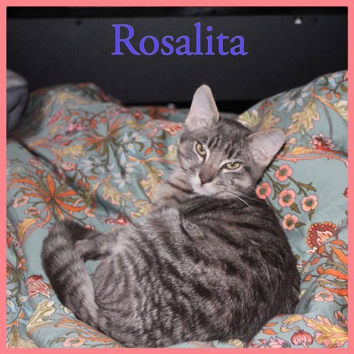 Rosalita 2