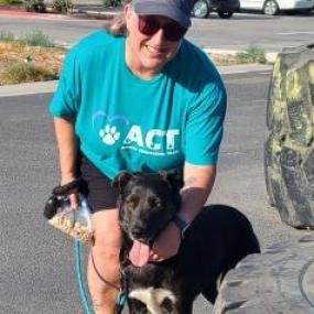 Twix, an adoptable Shepherd, Black Labrador Retriever in Fresno, CA, 93725 | Photo Image 2