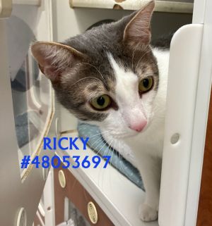 Ricky 