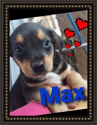 Max