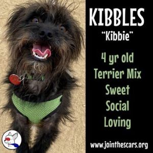 Kibbles