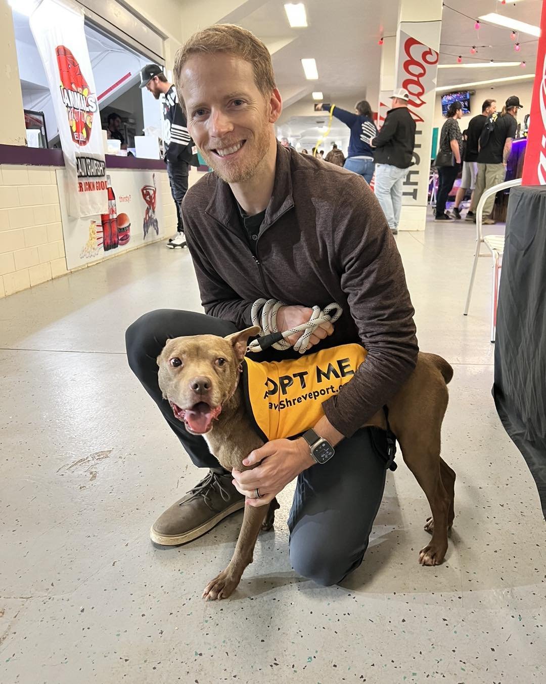 Molly, an adoptable Pit Bull Terrier in Shreveport, LA, 71119 | Photo Image 3