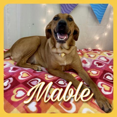 Mable